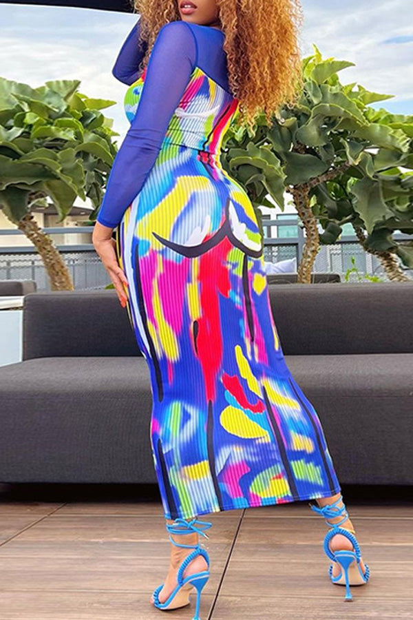Fashion Printed Mesh Panel Slim Fit Long Sleeve Dress-yoyobikini