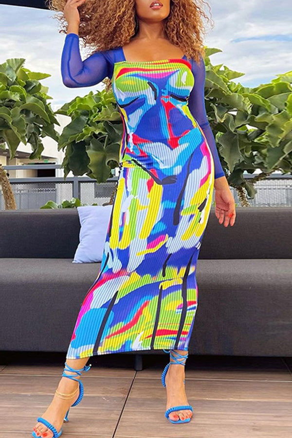 Fashion Printed Mesh Panel Slim Fit Long Sleeve Dress-yoyobikini