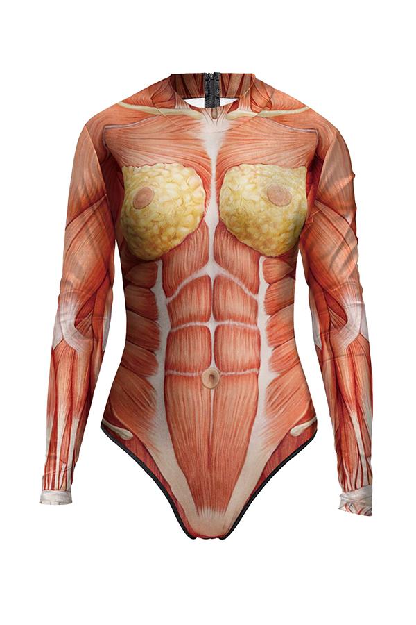 Adult Women's Human Muscle Bodysuit Halloween Costume Khaki-yoyobikini