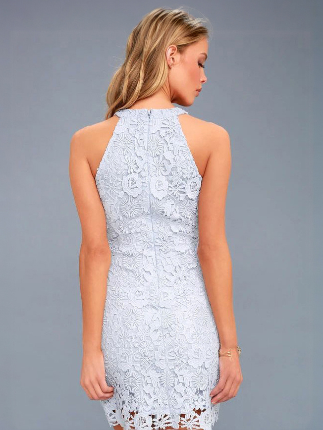 Stretch Lace Elegant Jewel Neck Sleeveless Party Dress