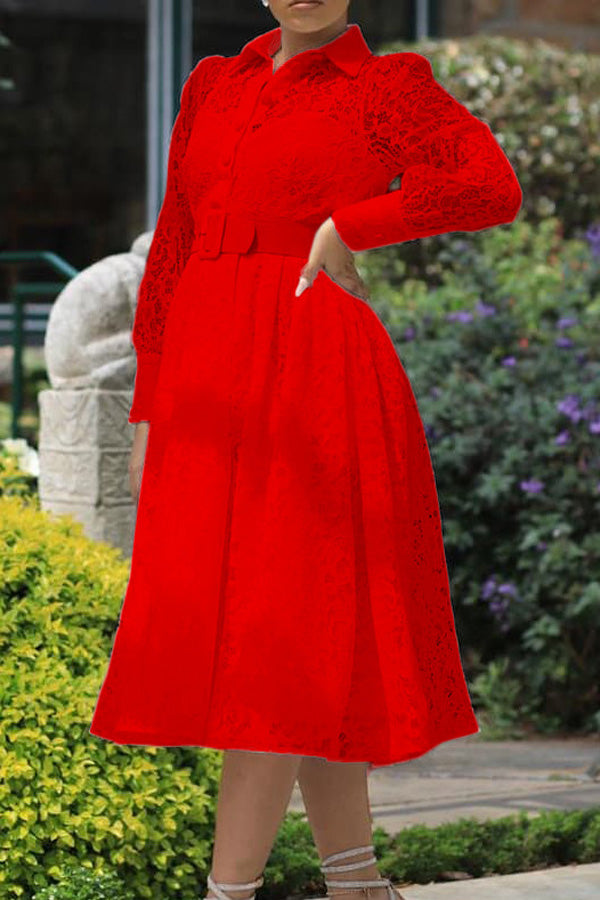 Casual Elegant Lace Swing Midi Dress