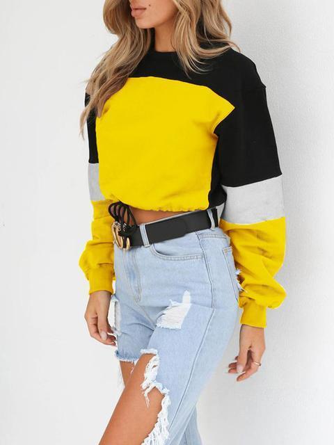 Round Neck Solid Short Sweater-Pinkami