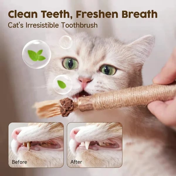 (🔥Last Day Promotion- SAVE 48% OFF)Natural Silvervine Stick Cat Chew 