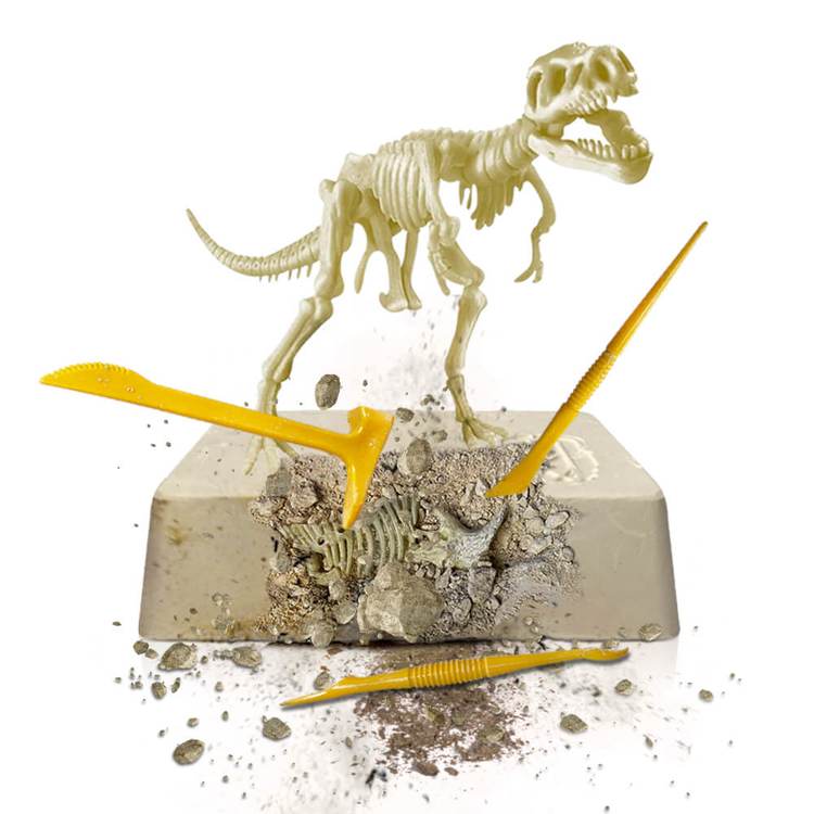 Glow Rex Adventure Dig Kits