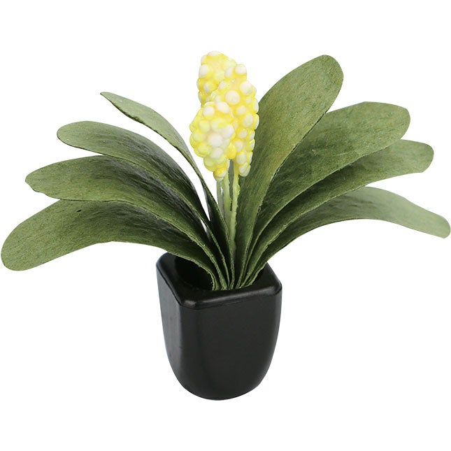 Summer Glass Greenhouse