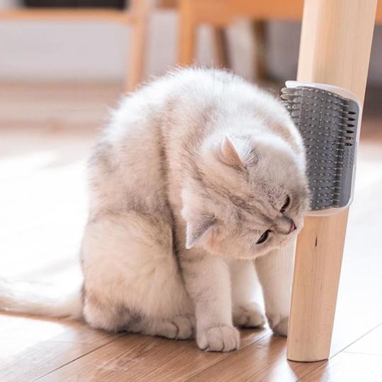 Cat Soothing Massage Brush