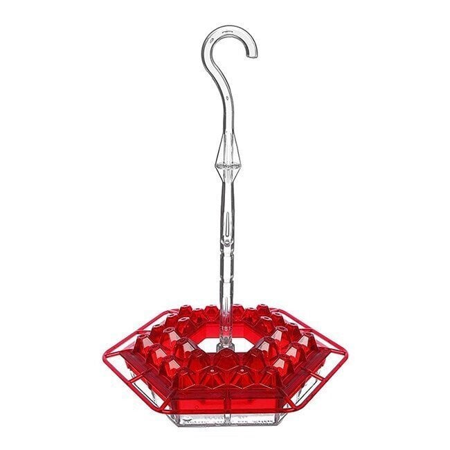 🐦Mary's Hummingbird Feeder With Perch🐦