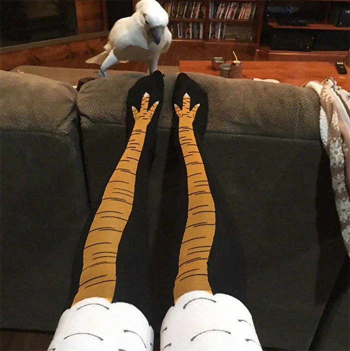 (MOTHER'S DAY PRE SALE - SAVE 38% OFF) Chicken Leg Socks -👍BUY 5 GET 3 FREE & FREE SHIPPING