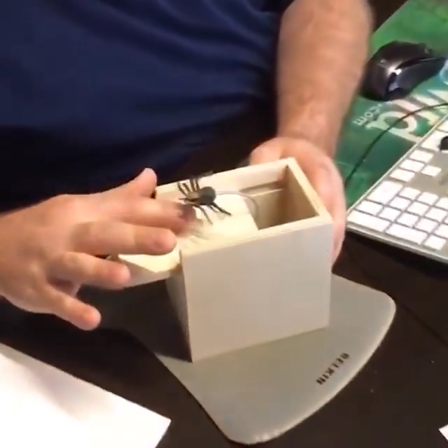 Super Funny Crazy Prank Gift Box Spider ❤️ Spring Hot Sale