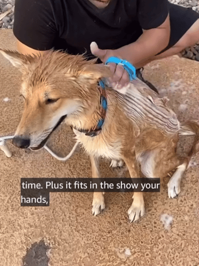 Pet Cleaning Supplies Outdoor Shower Bath Brush Dog