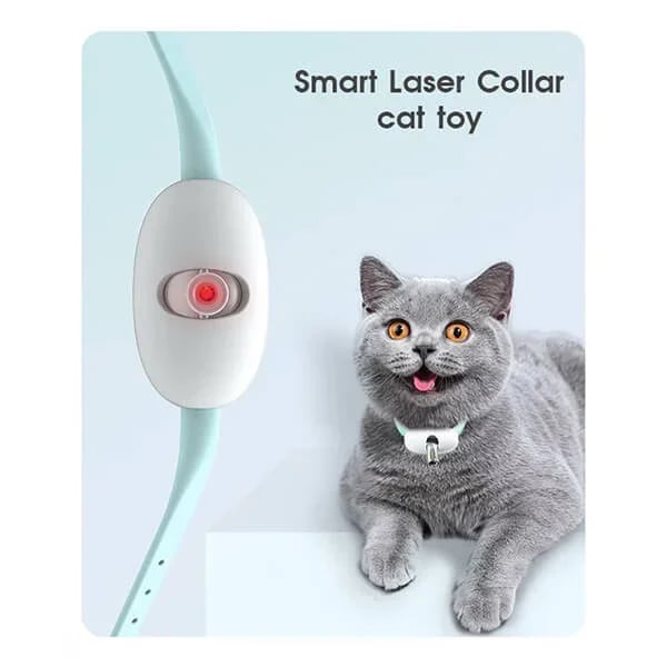 🔥 Electric Smart Amusing Collar for Kitten 🔥