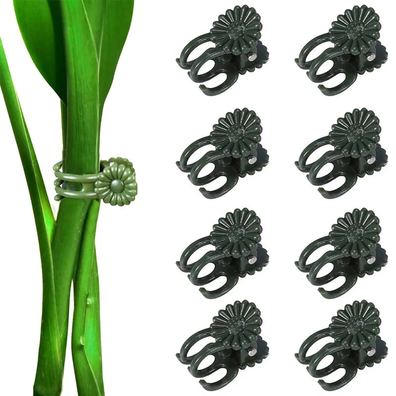 🔥Let the plant grow healthily - Plant Clips