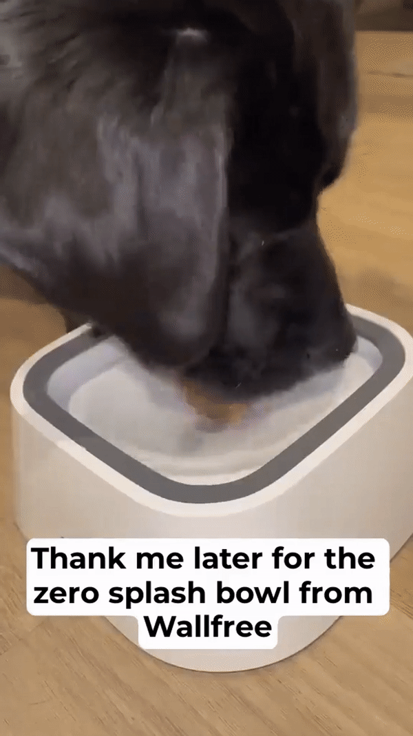 Pet Suspension Drinking Bowl