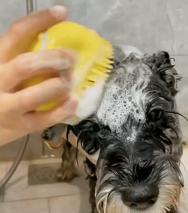  Dog and Cat Bath Massage Brush
