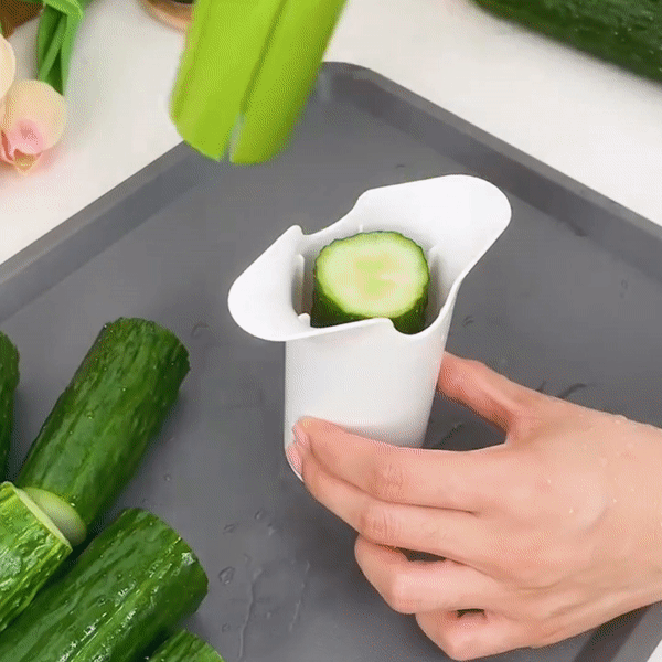 Vegetable and Fruit Slicer