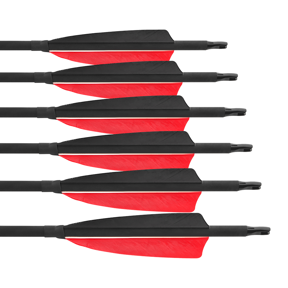 Feather Fletched Carbon Arrows 30" Spine 500 Archery Arrows (12 Pack)