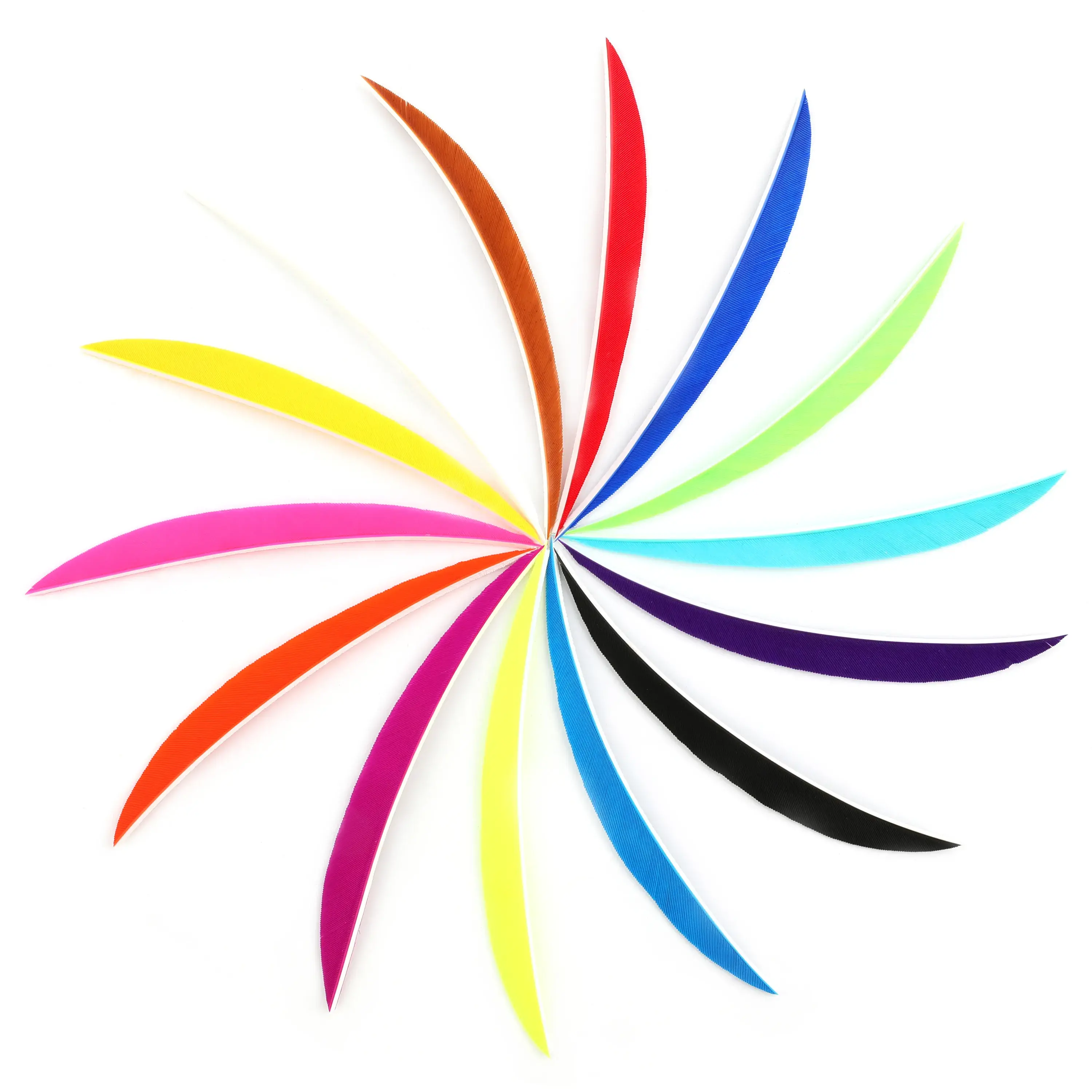 Archery 5" Target Fletchings for Outdoor Arrows Feathers RW (50 Pack)-CHN Archery