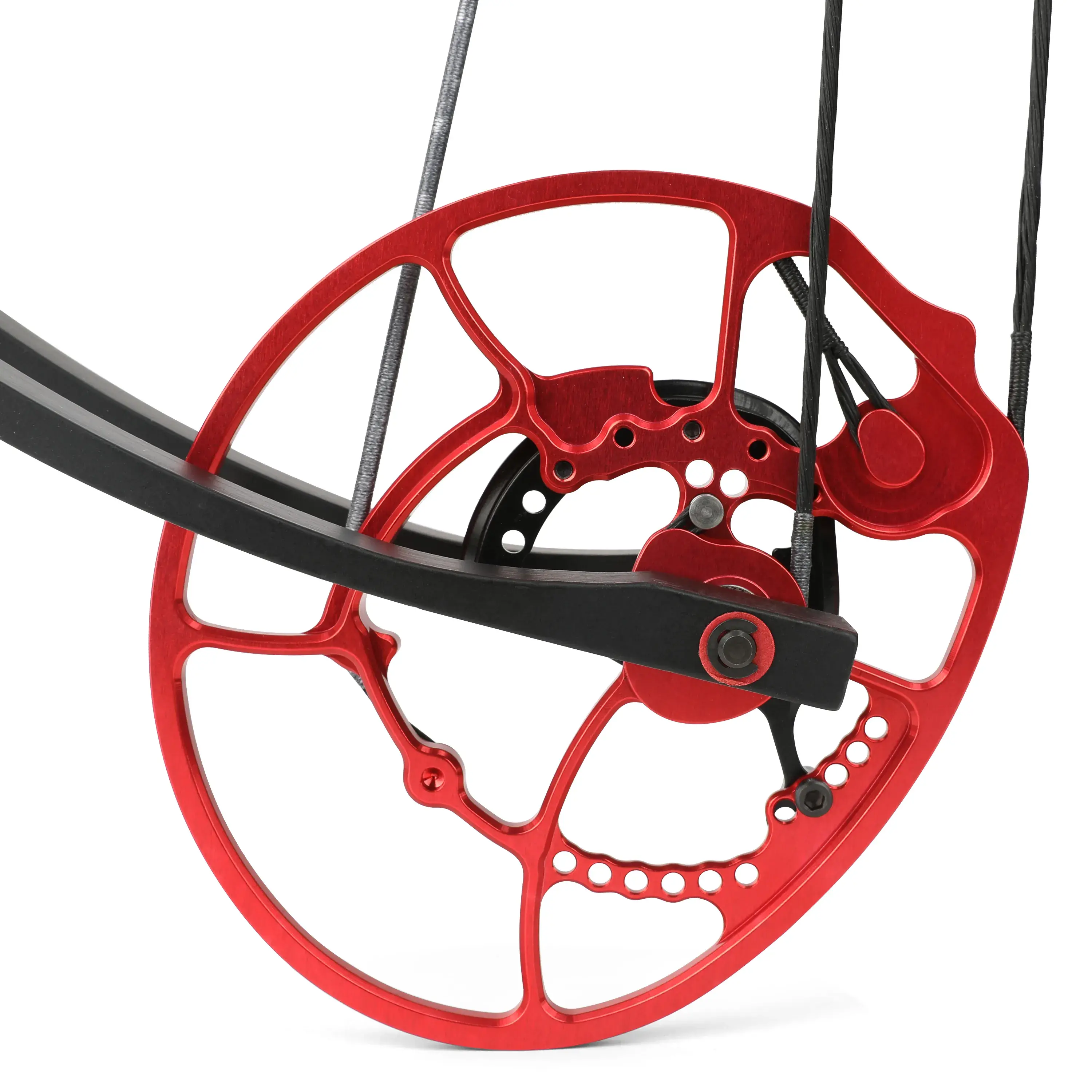 TUOLU FROGE 31" Center Shot Compound Bow for Archery Hunting 45-70 lbs-CHN Archery