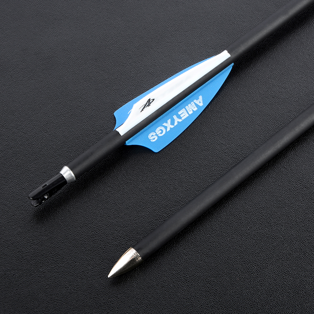 AMEYXGS 31" 4.2mm/.166" 1000 Spine Target Practice Arrows (12 Pack)-CHN Archery