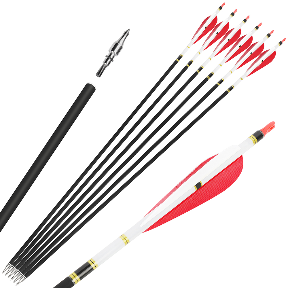 31" Archery 6 Pcs Carbon Arrows Recurve Compound Bow Hunting Target SP500 Quiver