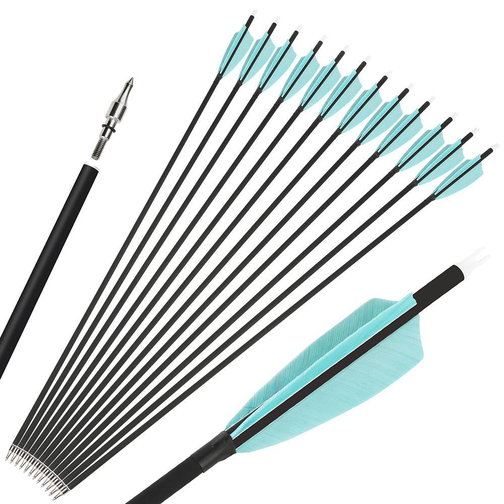 Archery SP 500 Carbon Arrows 30'' Hunting Arrows With Broadheads for Hunting Bow 
