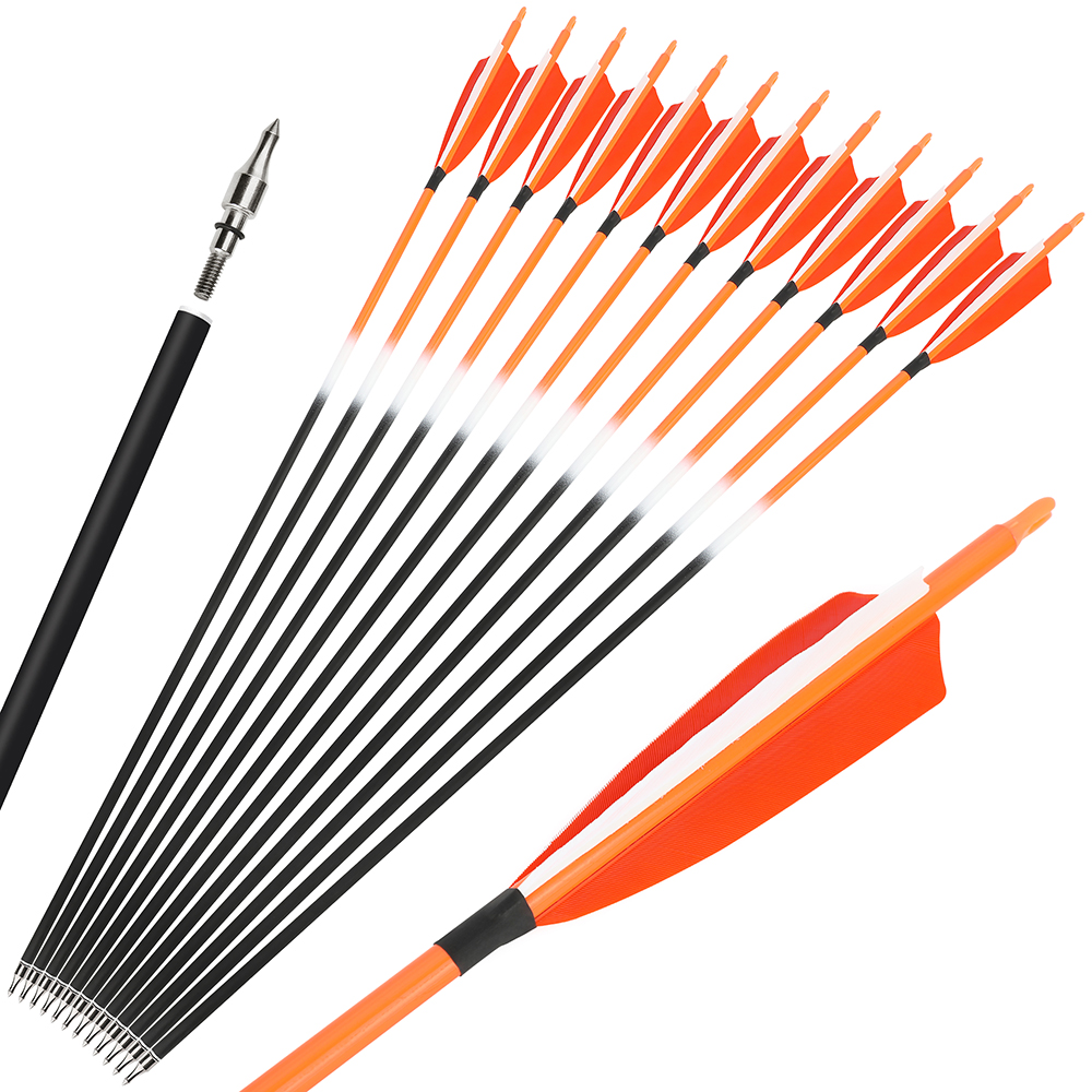 12X 31" Archery Fletched Carbon Arrows Hunting Spine500 for Recurve Compound Bow 