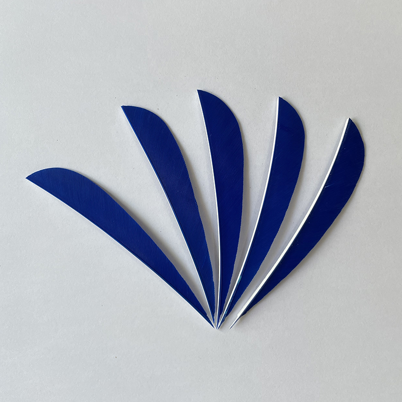 Feather Fletchings for Arrows 3" 4" 5" Parabolic RW (50 Pack)-CHN Archery