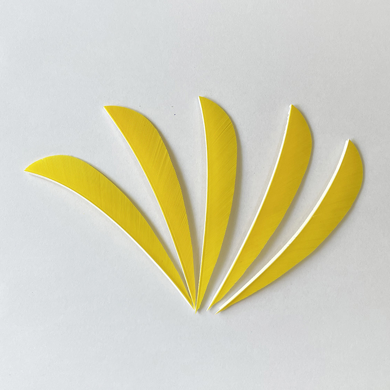 Feather Fletchings for Arrows 3" 4" 5" Parabolic RW (50 Pack)-CHN Archery