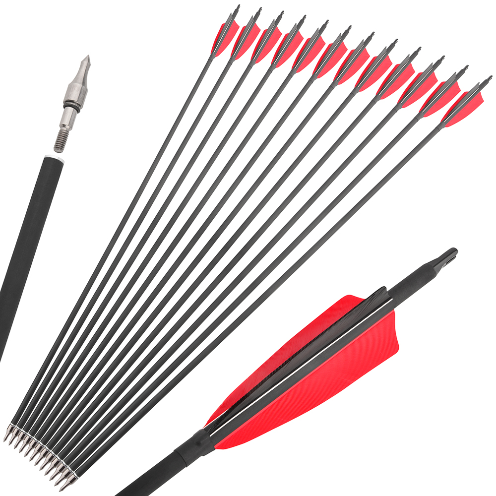 Archery Feather Fletched Carbon Arrows Spine 500 (12 Pack)-CHN Archery