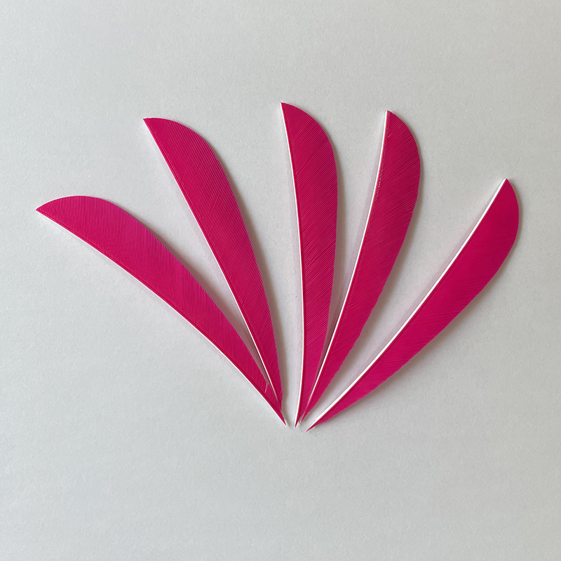 Feather Fletchings for Arrows 3" 4" 5" Parabolic RW (50 Pack)-CHN Archery