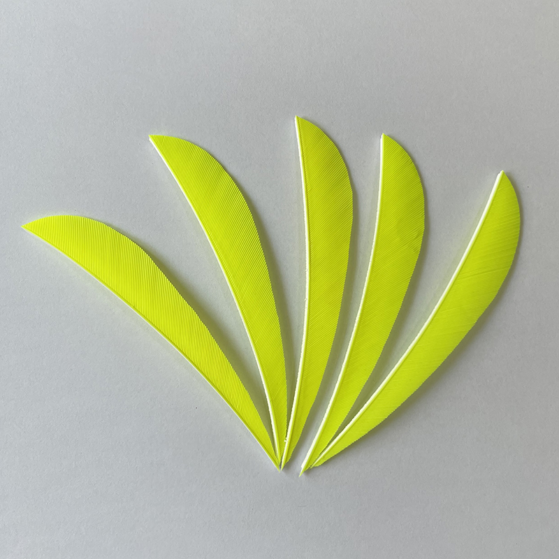 Feather Fletchings for Arrows 3" 4" 5" Parabolic RW (50 Pack)-CHN Archery