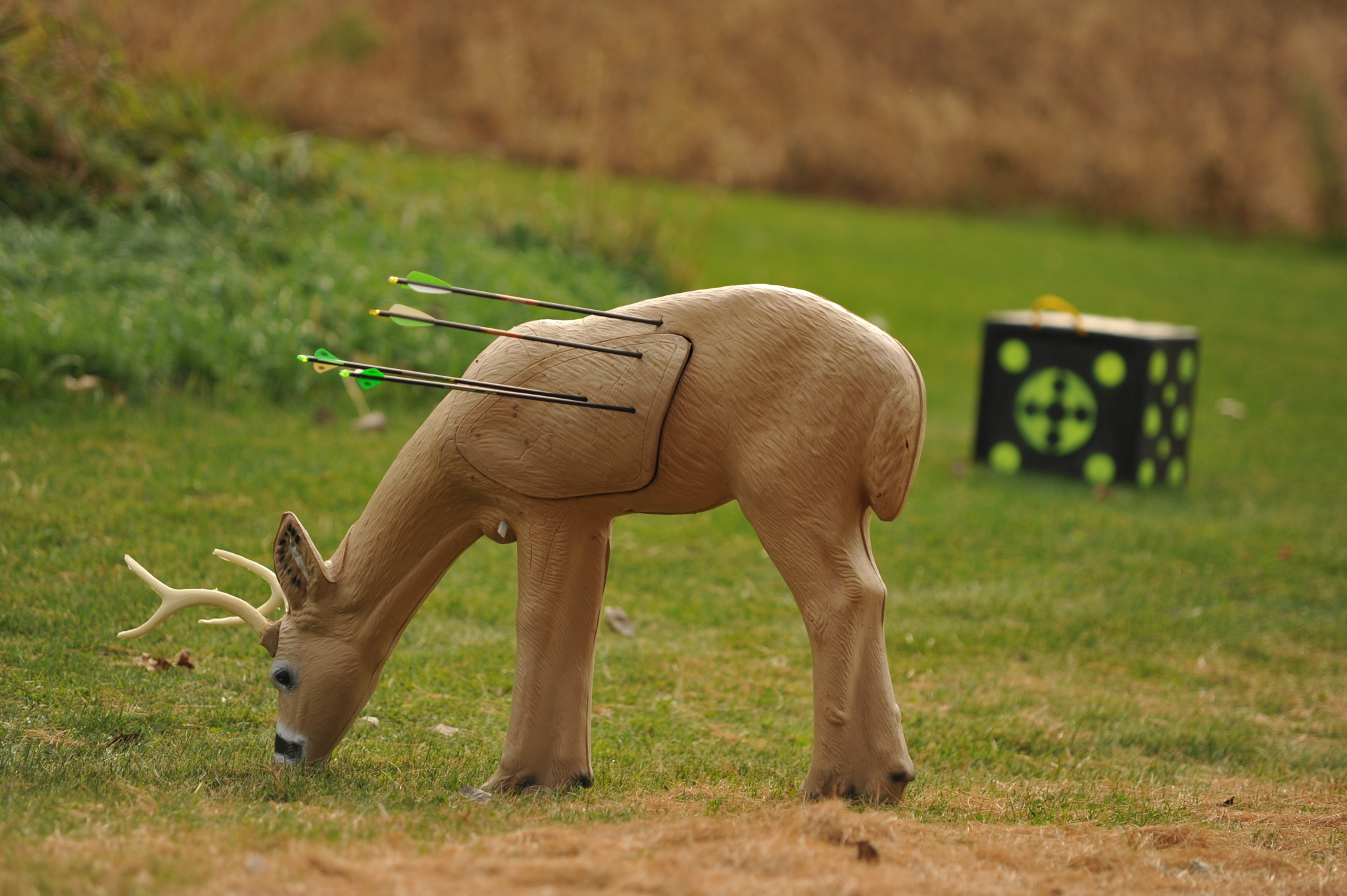 Essential Archery Safety Tips for BeginnersCHN Archery