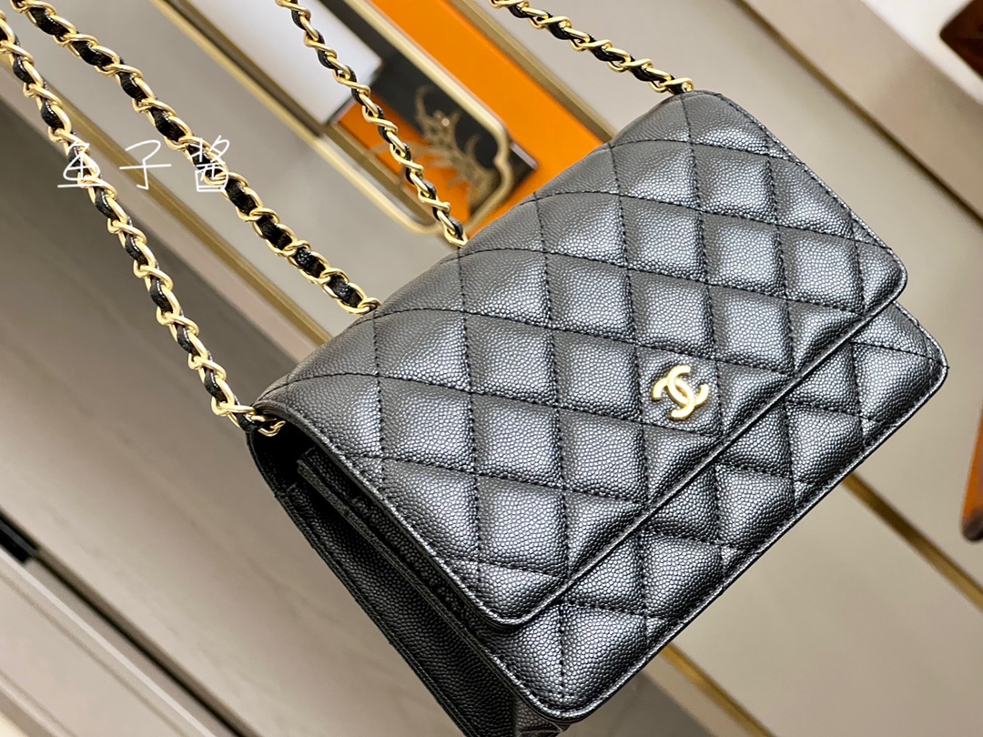Chanel Casual Fortune Bag