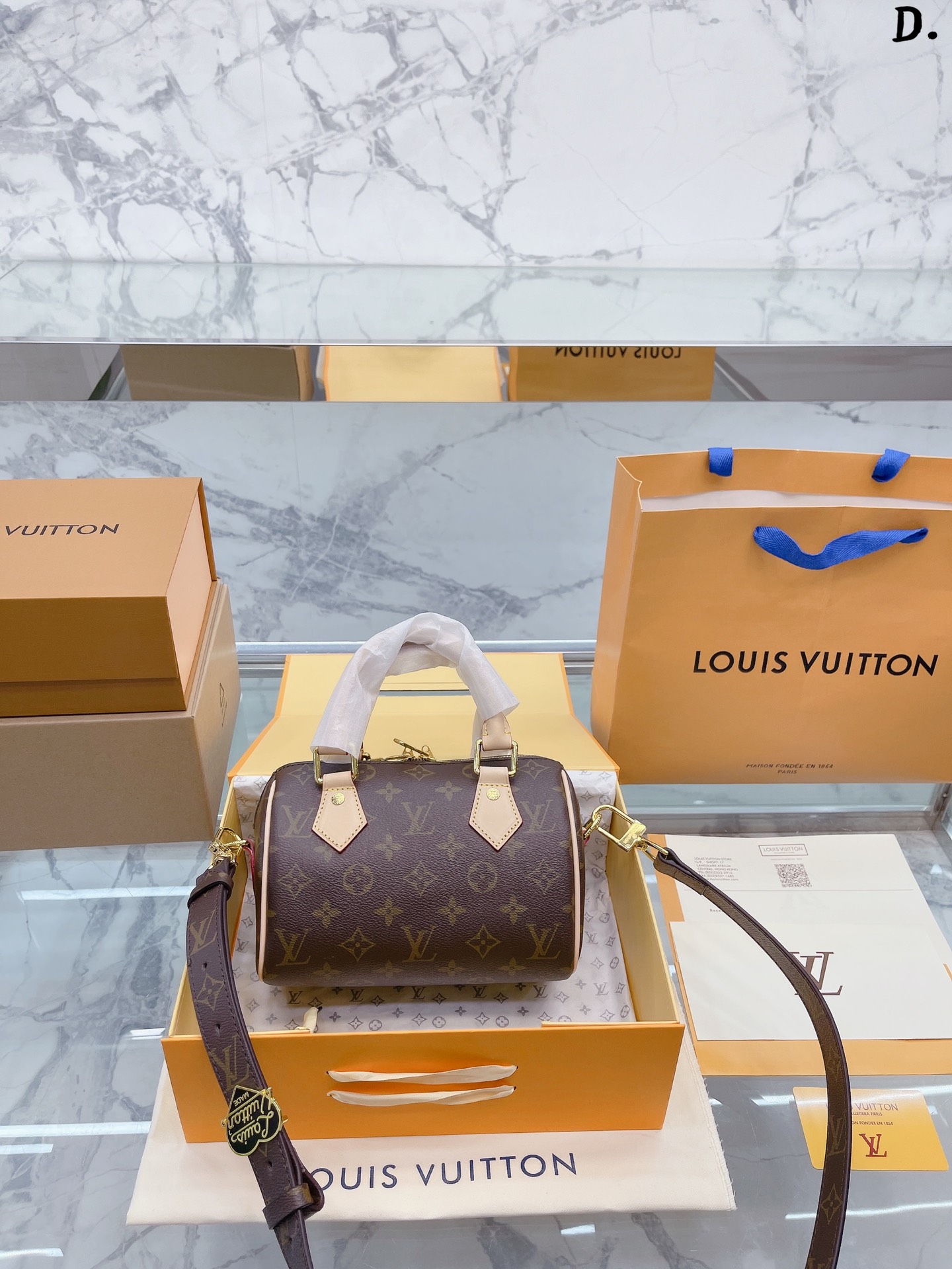 LV speedy Nano handbag