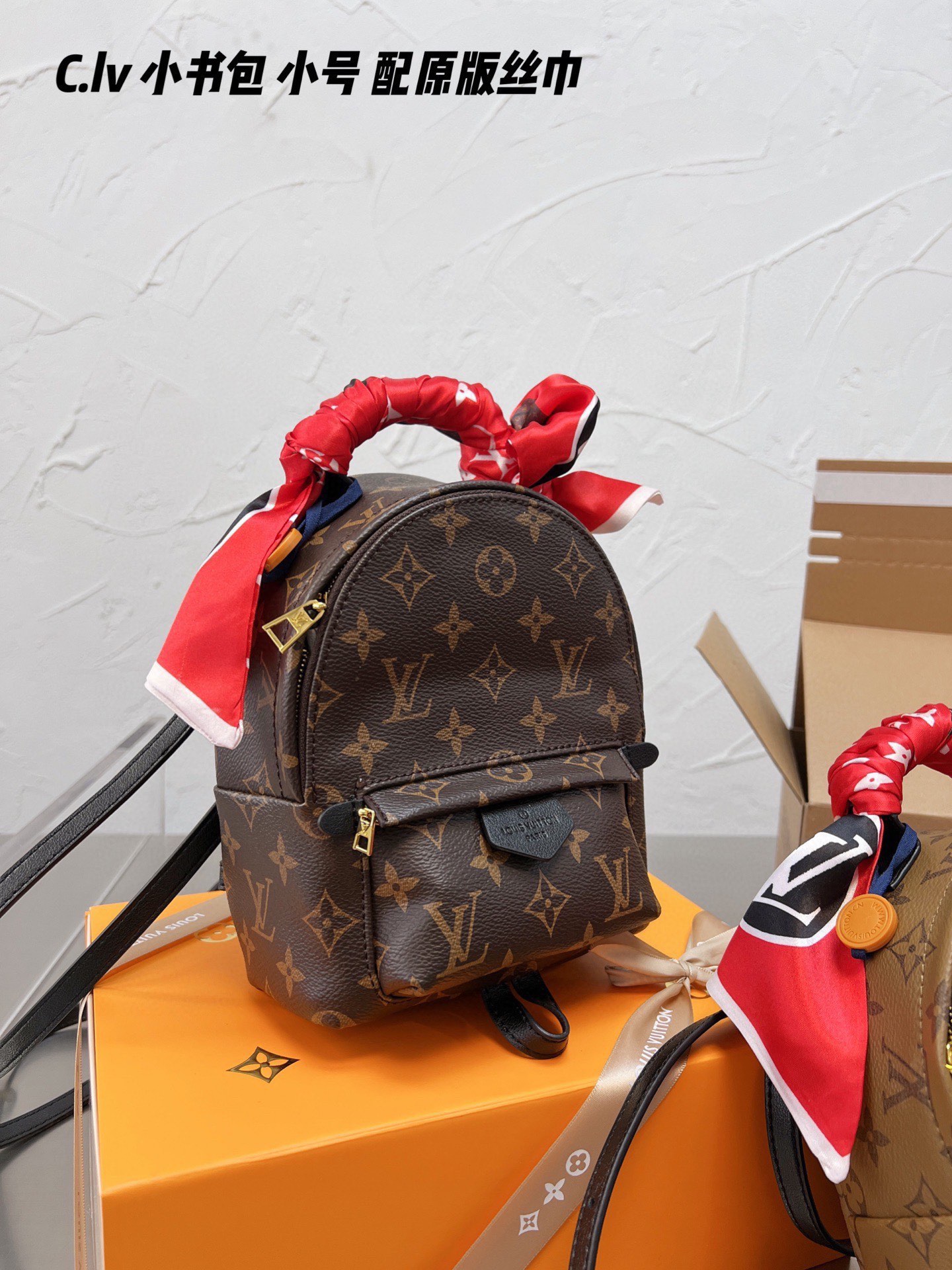 LV Louis Vuitton Backpack Mini
