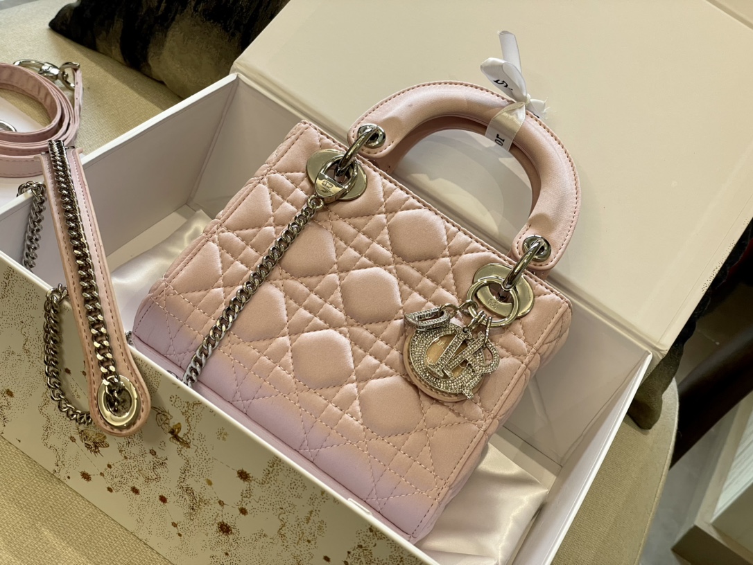 dior handbag Dior Princess
