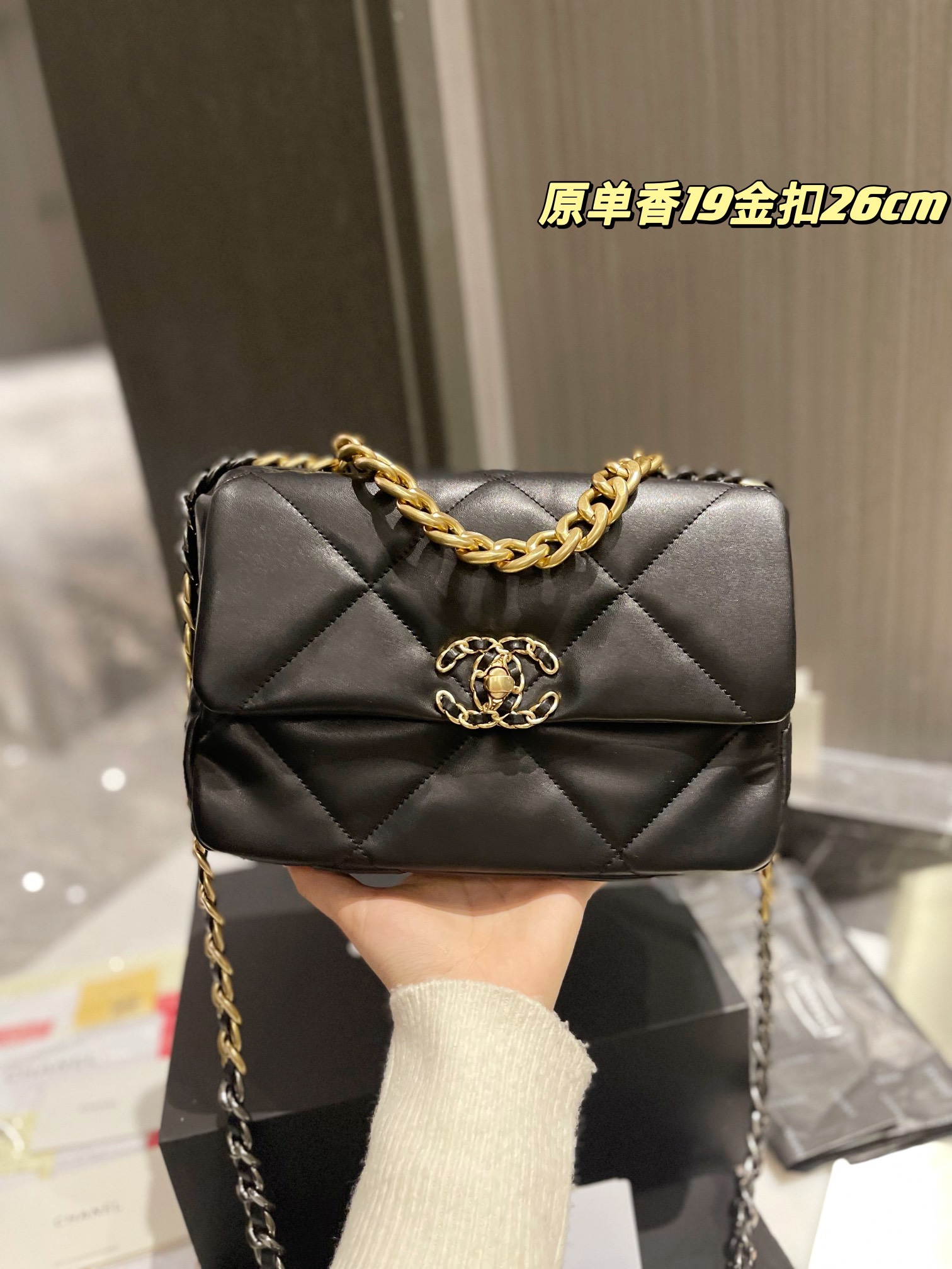 Chanel 19 Handbags Shoulder Bags