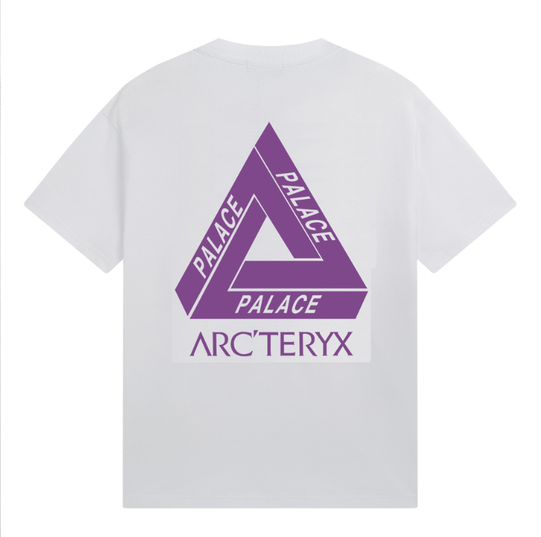 Ayc Teryx Summer New Design Cotton 100 Percent Unisex Casual T-shirt
