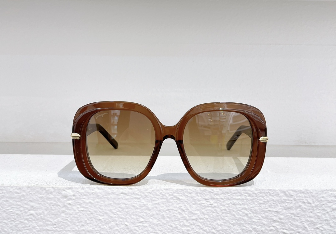 Salvatore ferragam fashion glasses