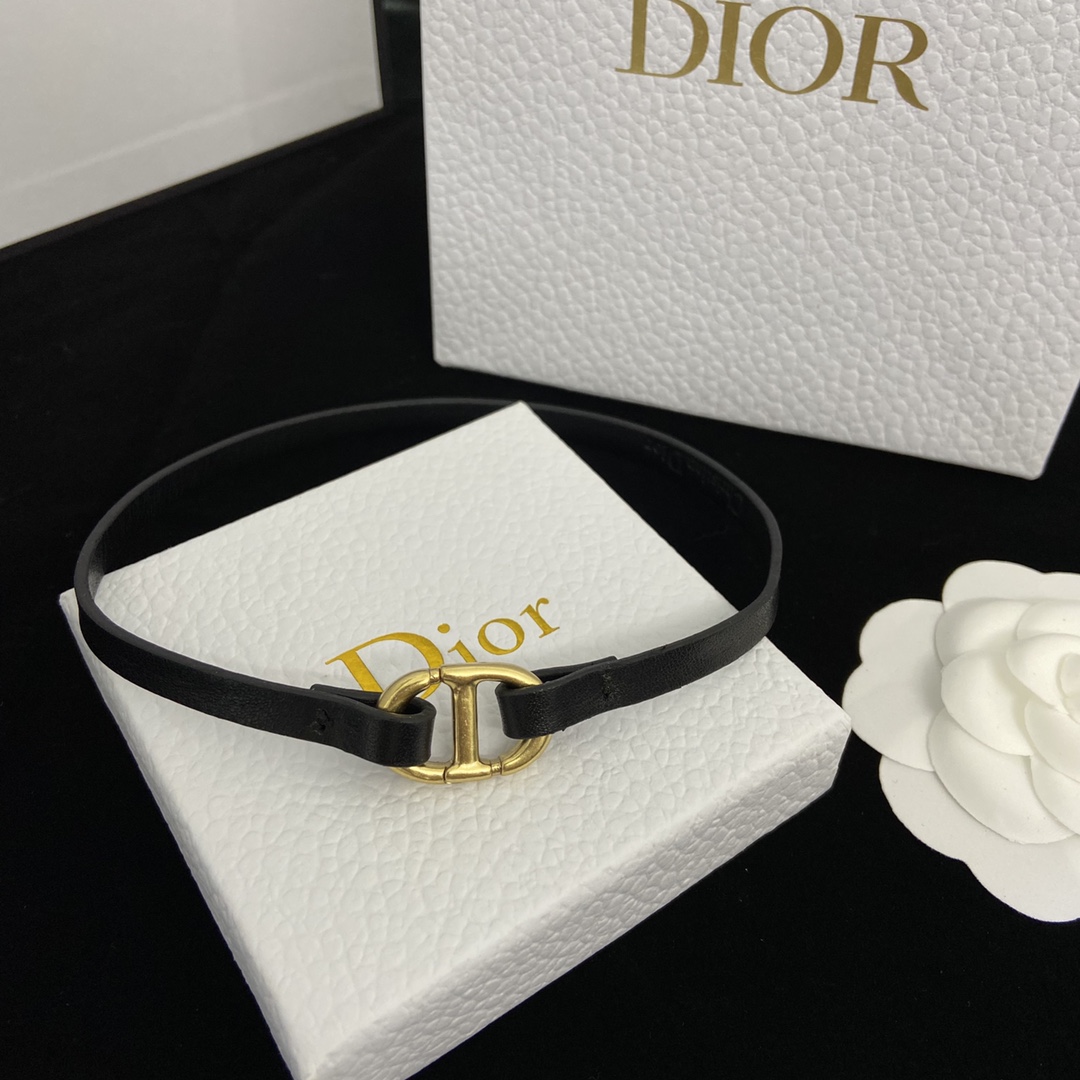 Dior New Necklace Choker