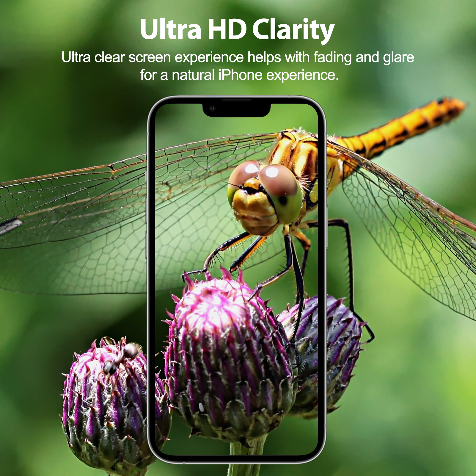 Mohave 2Pack Screen Protector compatible with iPhone 13 pro max(6.7-Inch, 2021 Model), Tempered Glass-Mohave