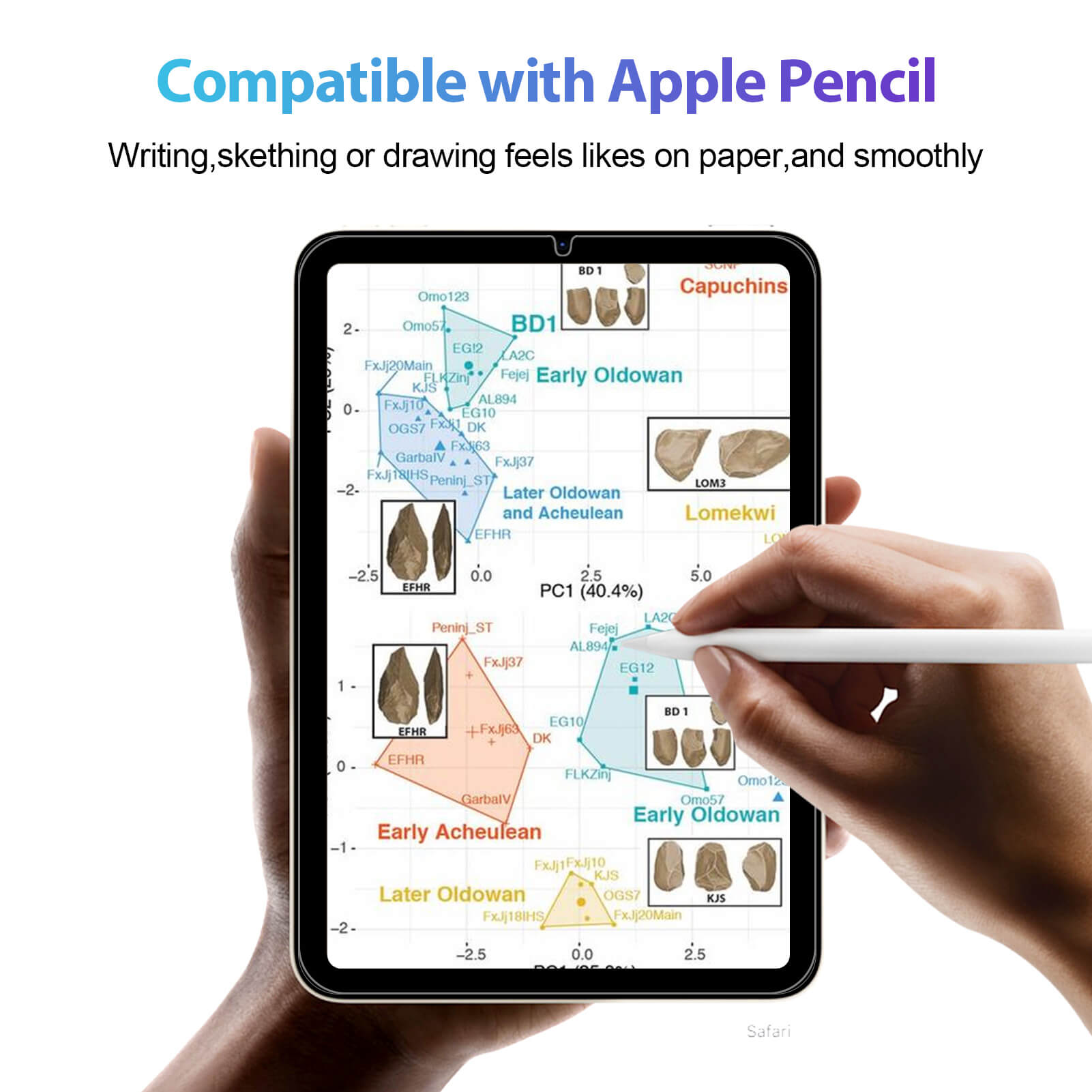 EZ Fit Glass Screen Protector for iPad Mini 7.9'' 2 Pack product details