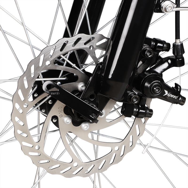 ZNH Electric Bike Z2