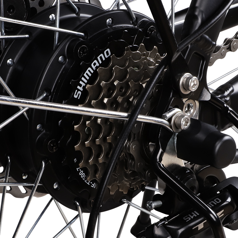 ZNH Electric Bike Z2