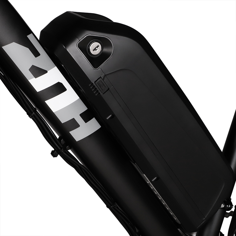 ZNH-02 City Commuter E-Bike|City ELectric Bike for Adult