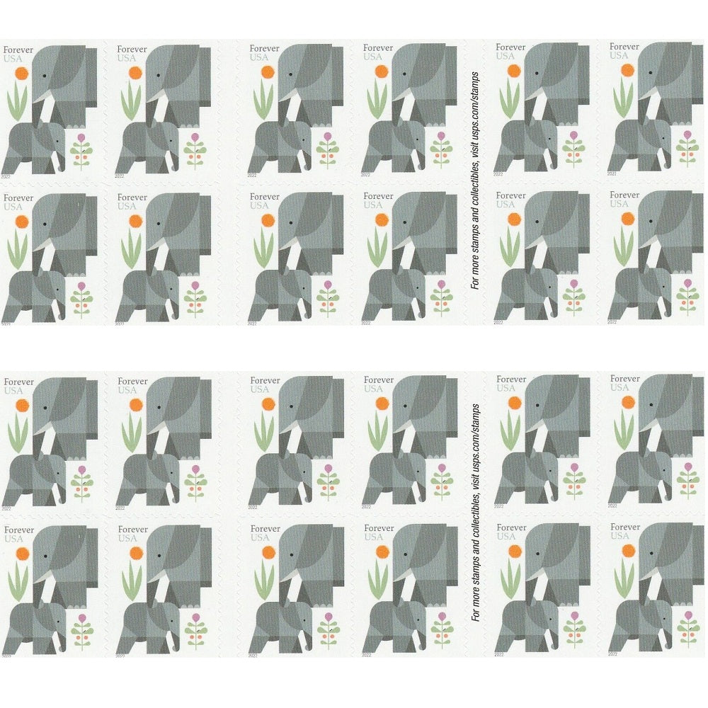 Elephants 2022