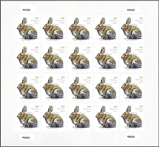 Brush Rabbit