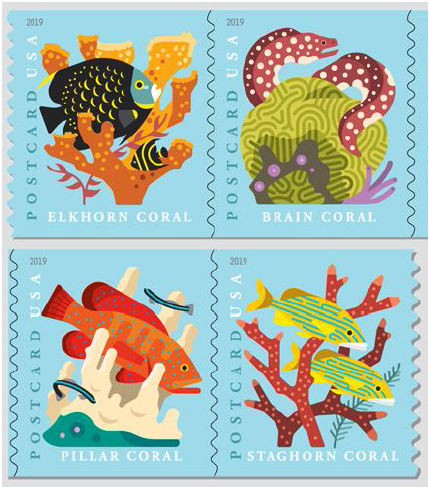 2019 Coral Reefs Postcard
