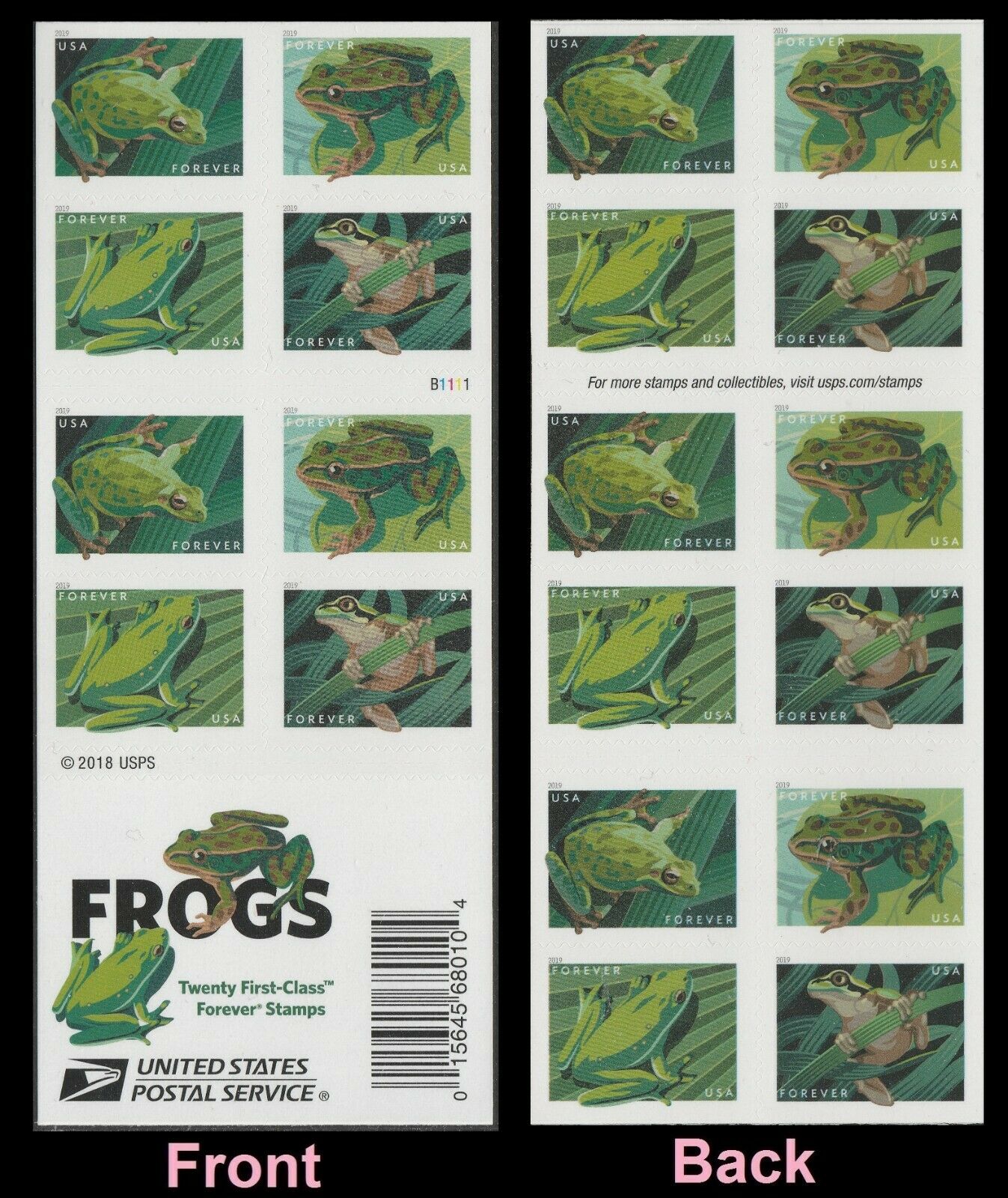 Frogs 2019, 100pcs