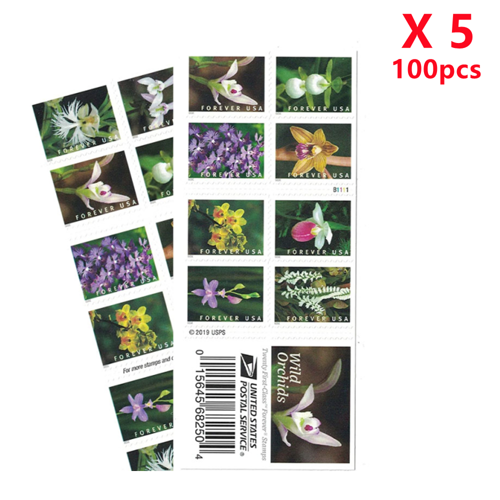 Wild Orchids 2020,100pcs